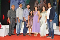 Manasuku Nachindi Movie Pre Release